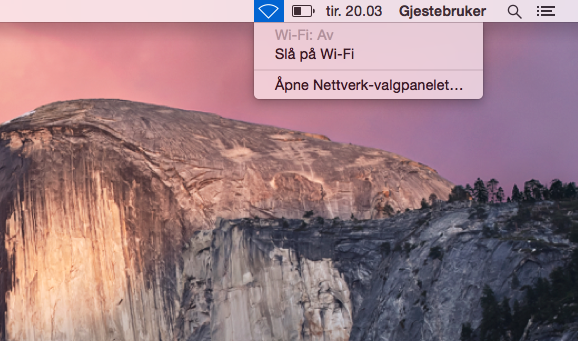 Steg 1_1