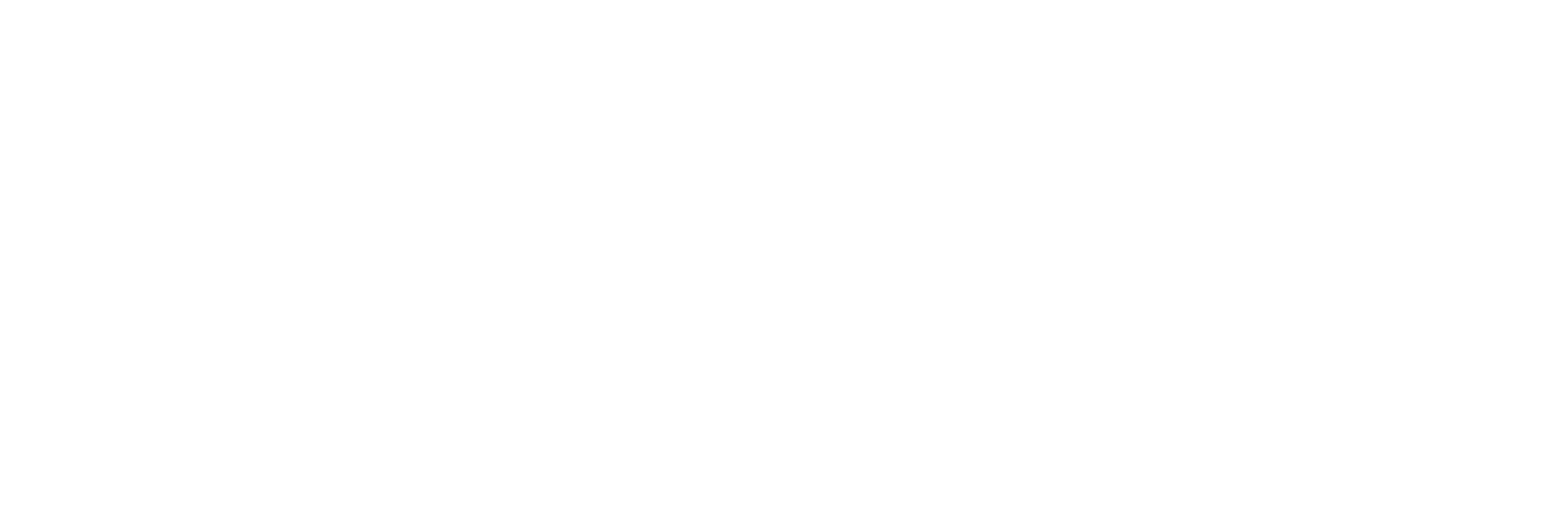 Logo_Viasport_hvit