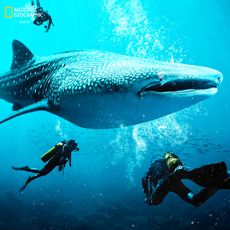 800-natgeo