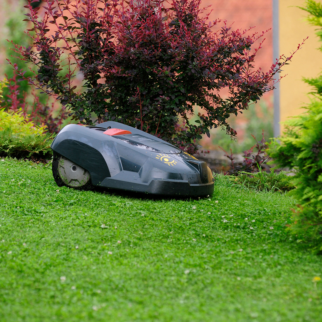 a lawn mowing robot mowing the lawn in the garden