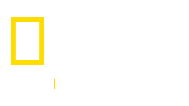 NG-NOW_Yellow-White_stack_RGB