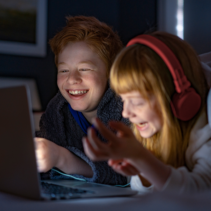 web-trygg-forsikring2