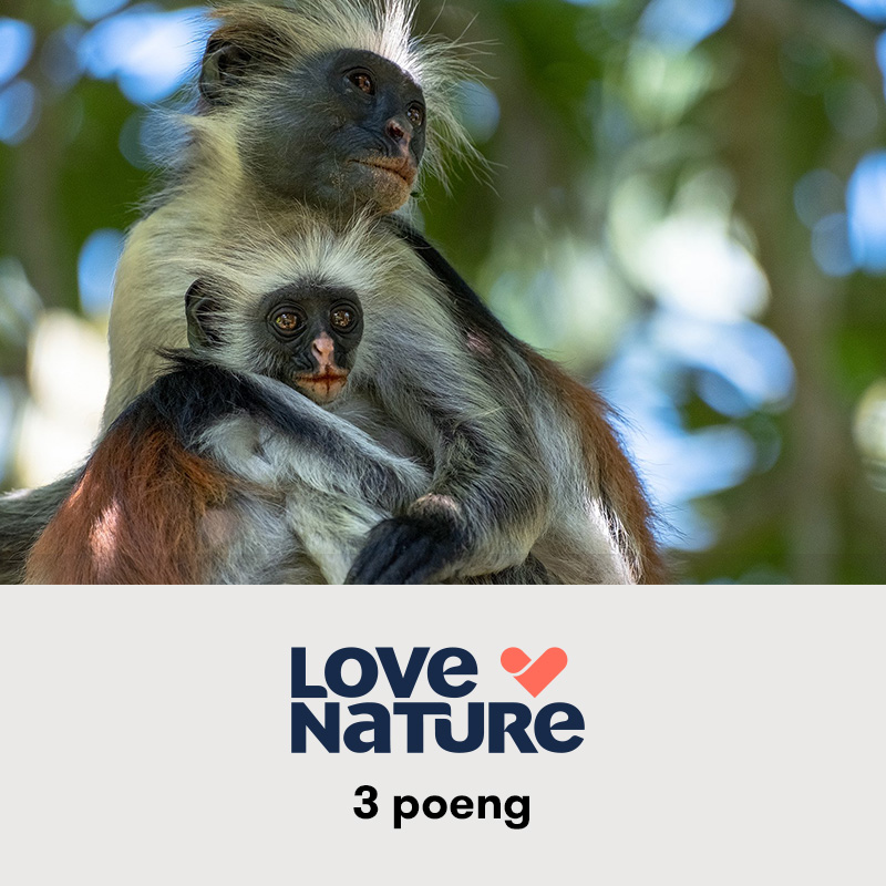 tile-loveNature-april26