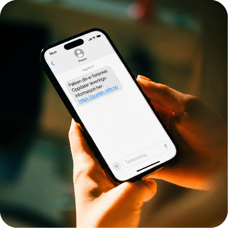 web-800-scam